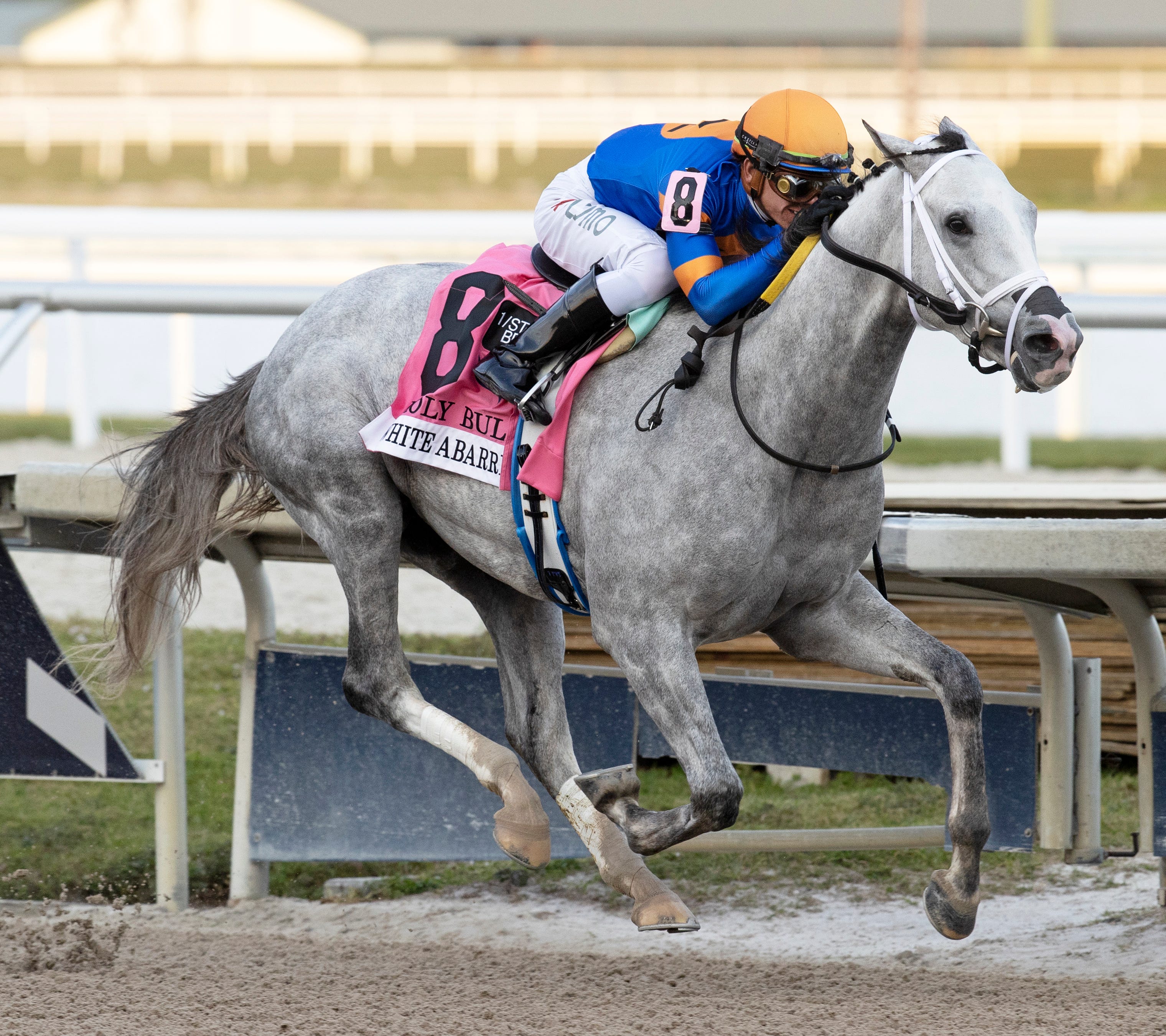 Road to the 2022 Kentucky Derby Holy Bull Stakes analysis